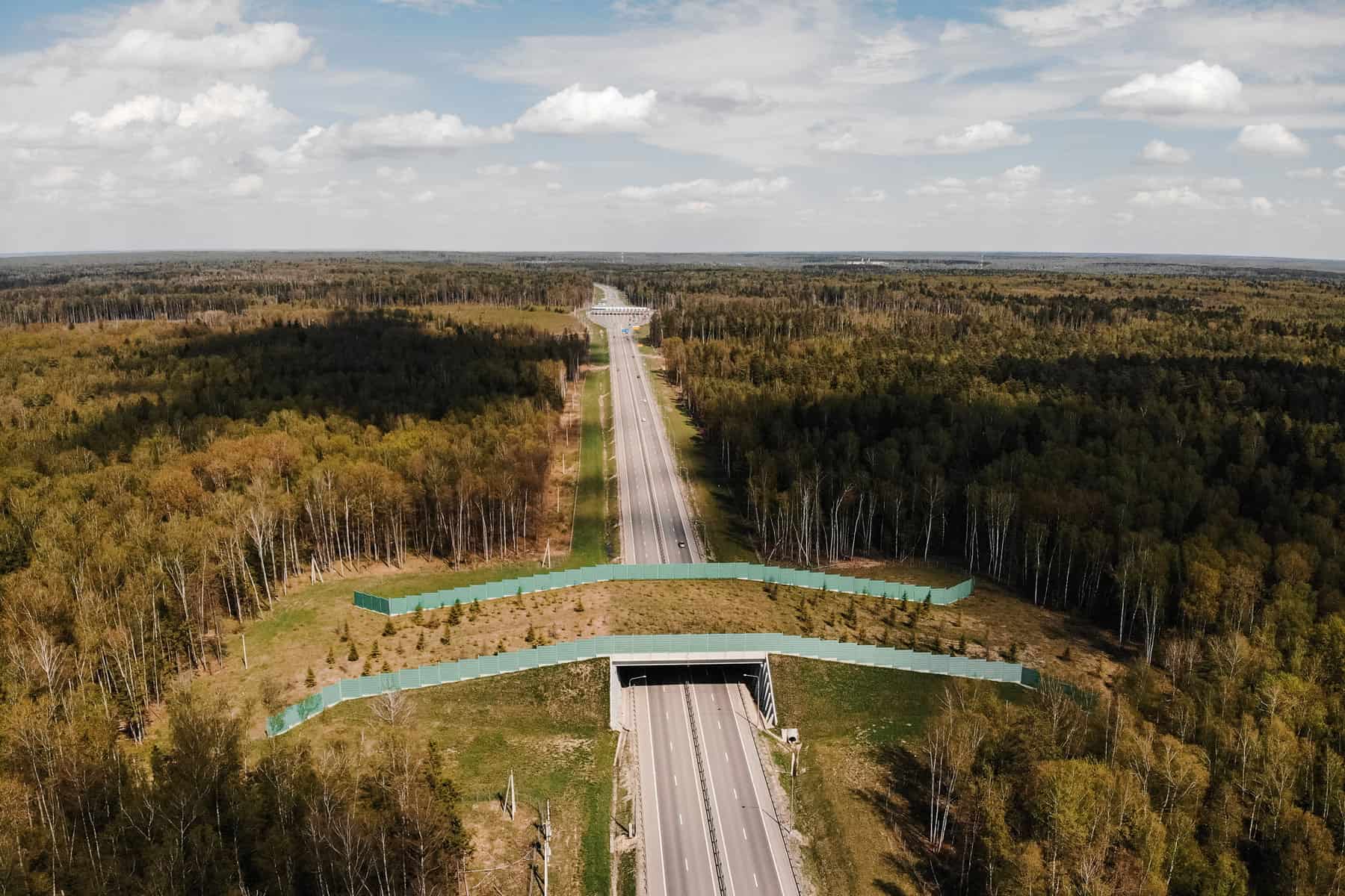 Grünbrücke über eine Autobahn — Wildtier-Querungshilfe in der Kulturlandschaft